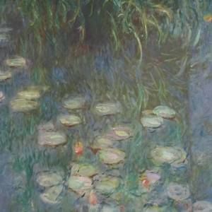 Meet your Posher, Rose